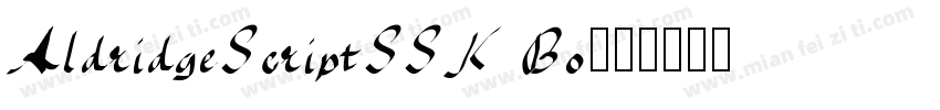 AldridgeScriptSSK Bo字体转换